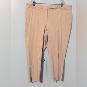 Rafaella Suit Pants Size 20W Tan Pin Stripes Matches D-150 Jacket‎ (18W)